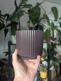 Cache pot 12 cm